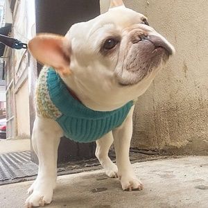 Meet your Posher, Oatmeal